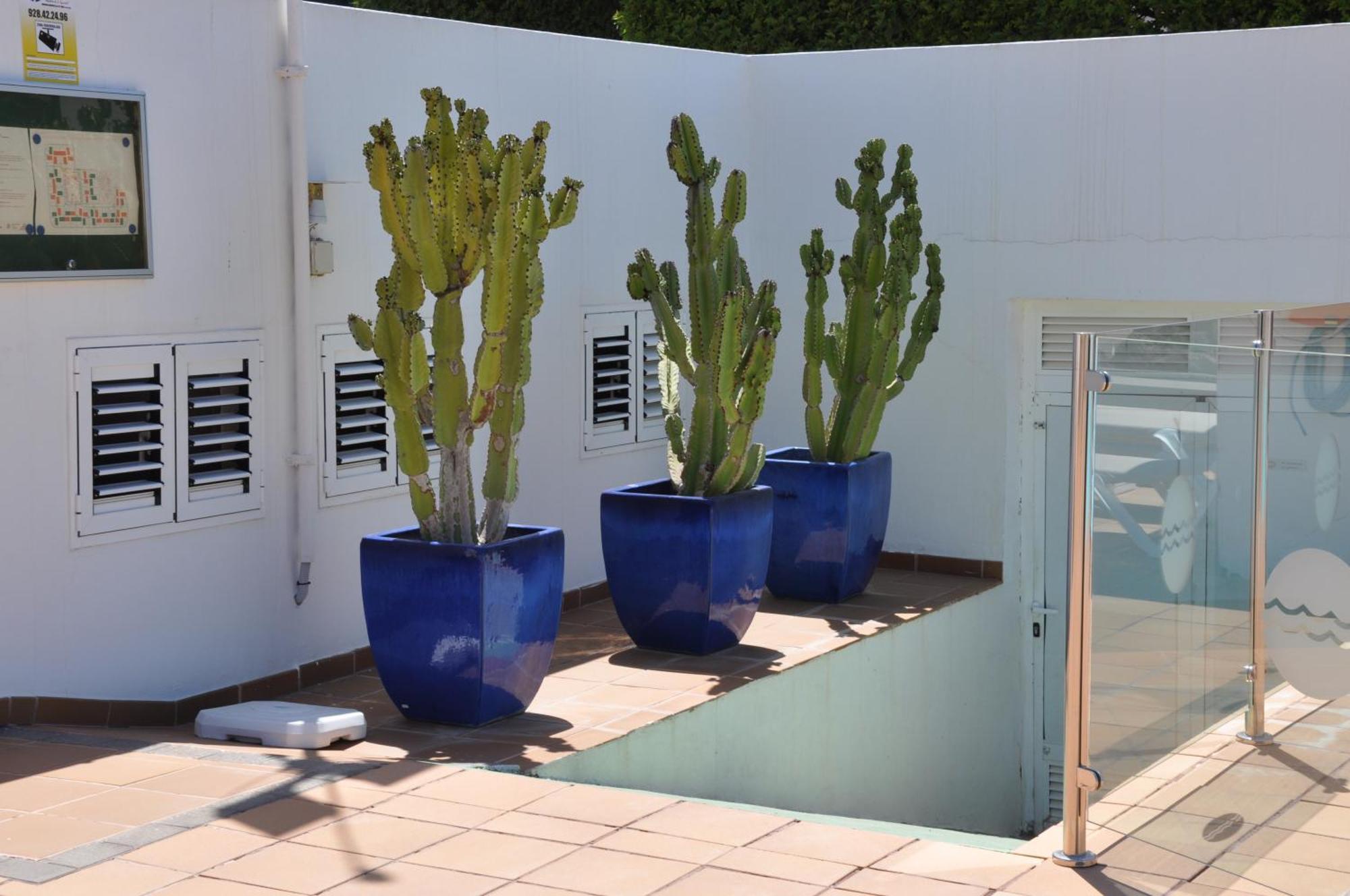 Serenity Garden マスパロマス エクステリア 写真